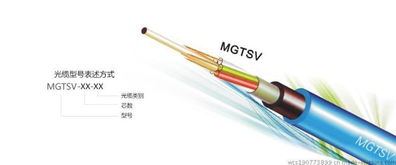MGTSV-6B1矿用光缆 价格、批发与线芯材质详解